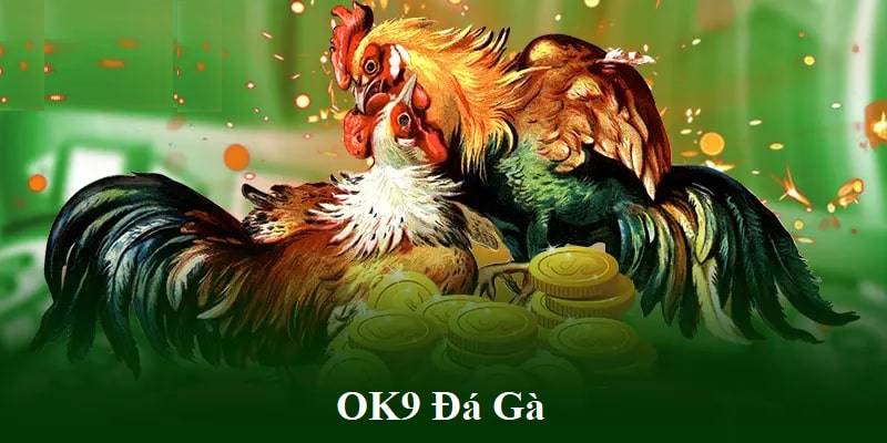 Lợi ích khi tham gia đá gà OK9 
